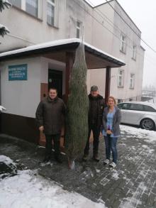 Choinka z koszęcińskich lasów w Domu Pomocy Społecznej w Koszęcinie