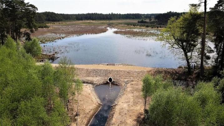 Grobla w Rezerwacie Jeleniak-Mikuliny w Nadleśnictwie Koszęcin