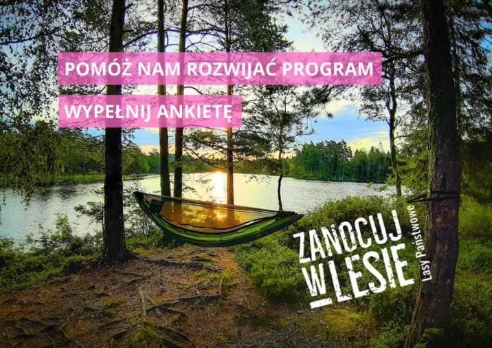 Grafika promująca program "Zanocuj w lesie", przedstawiająca hamak rozwieszony w lesie przy jeziorze