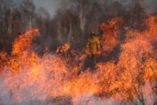 Wiosną rośnie zagrożenie pożarowe w lasach